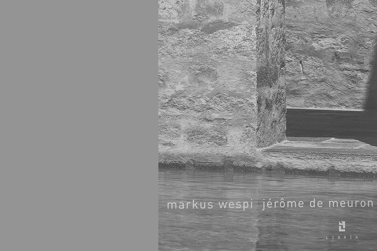 monografie libria verlag markus wespi jérôme de meuron 2006