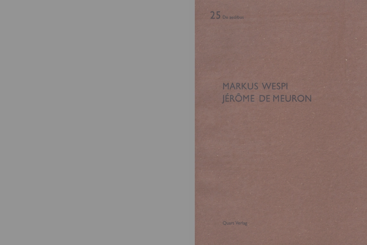 monografie 25 de aedibus - quart verlag markus wespi jérôme de meuron 2008
