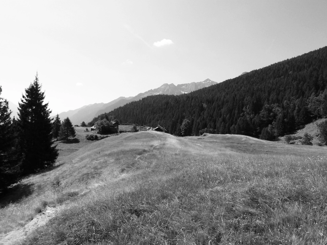 projekt umbau berghütte mehrzweckraum / kleinladen ti 2015